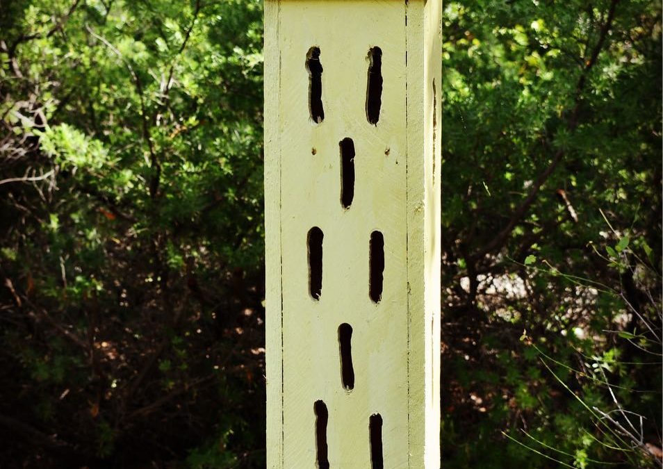 Chasing butterflies. Butterfly house in a Butterfly  garden! 
#imagesbycheri #he…