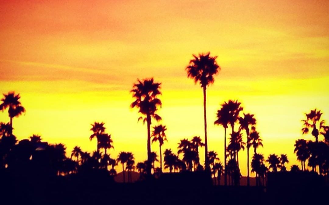 Ever have one of those perfect kind of days…slept in, then went across the bor…