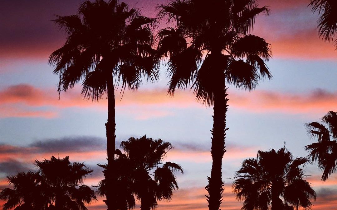 Sending warm vibes and a cool sunset through the palm trees from South Texas to …