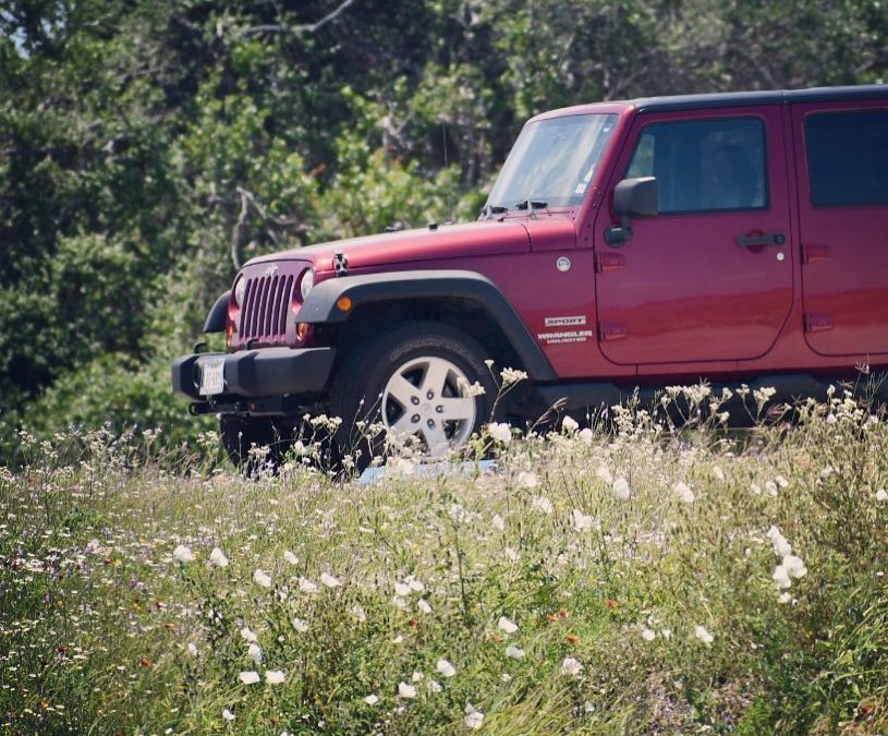 Texas wildflowers. Great day for a drive. #springday #texaswildflowers #sunnysat…