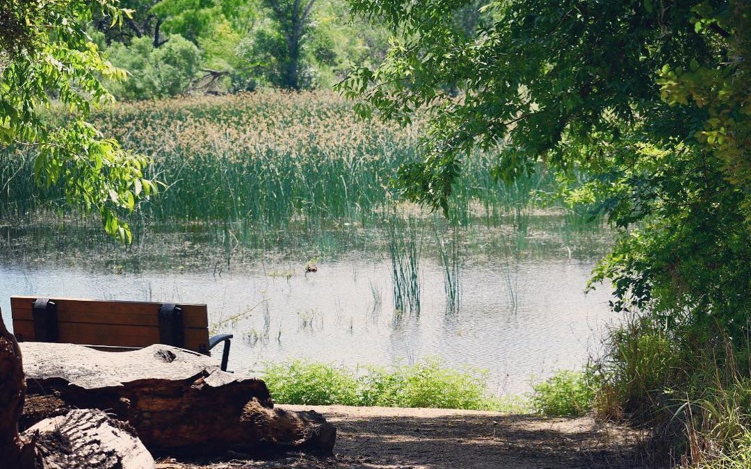 Happy Friday. #relaxingweekend #weekend #sitaspell #reflect #imagesbycheri #hell…