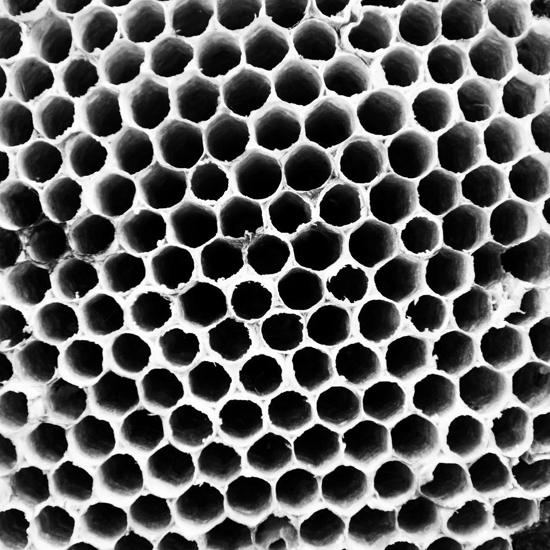 No ones home. #beehive #honeycomb #bee #imagesbycheri #hellofreedom #blackandwhi…