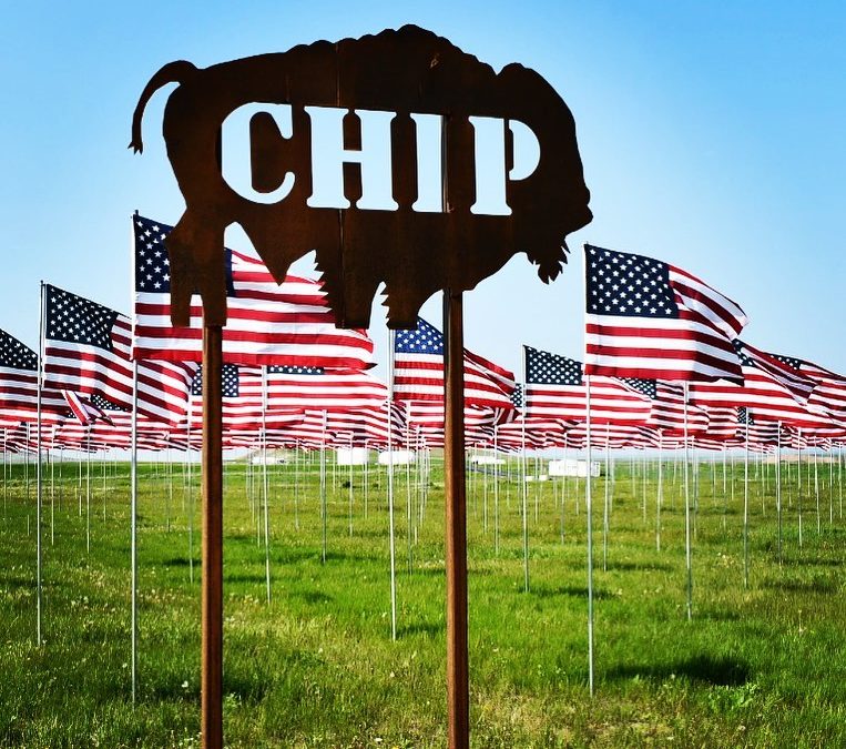 Memorial week in Sturgis. #sturgis #buffalochip #thechip #southdakota #imagesbyc…