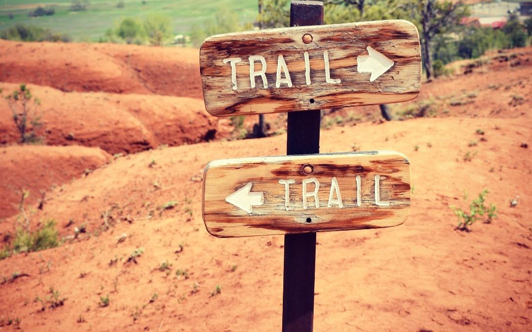 After 40,000+ steps over the weekend, my body was so craving another hike today….