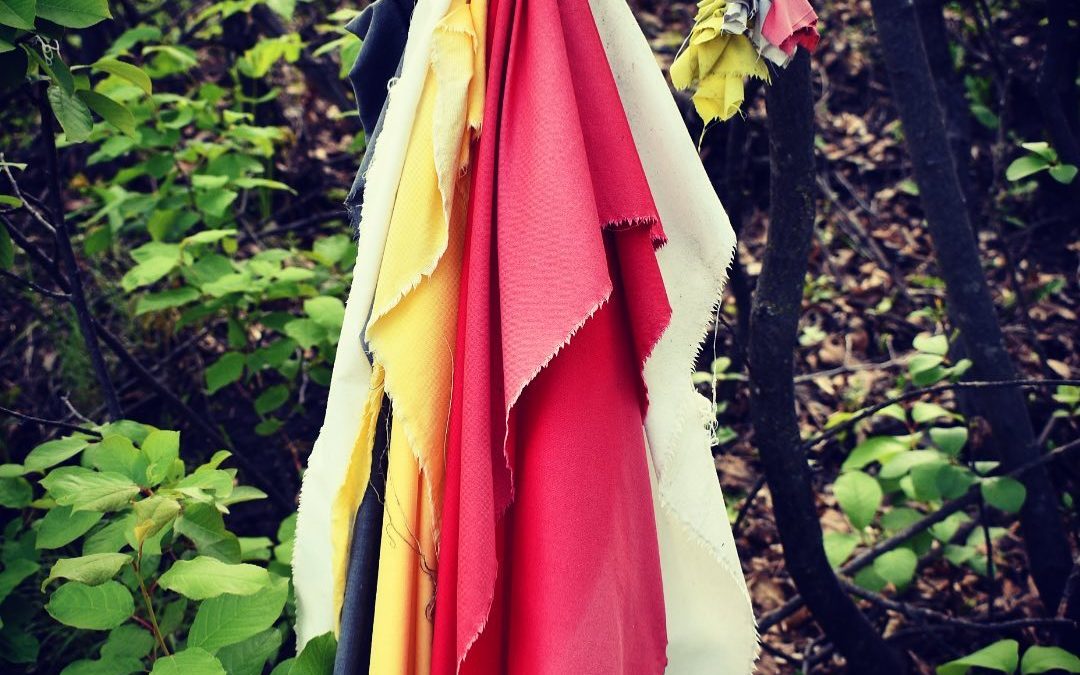 Prayer cloths tied to the trees along our hike at Bear Butte. Special place. #la…