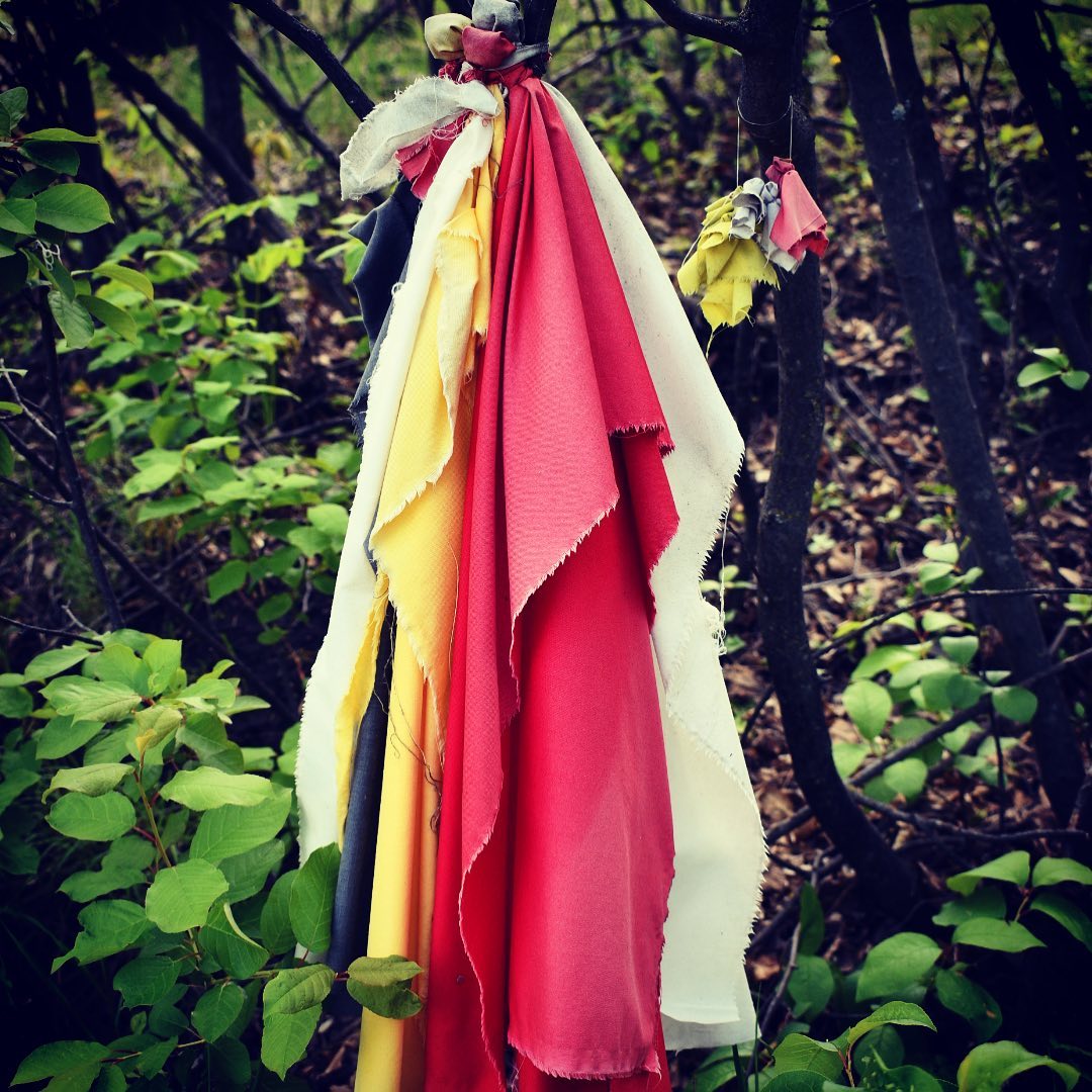 Prayer cloths tied to the trees along our hike at Bear Butte. Special place. #la…