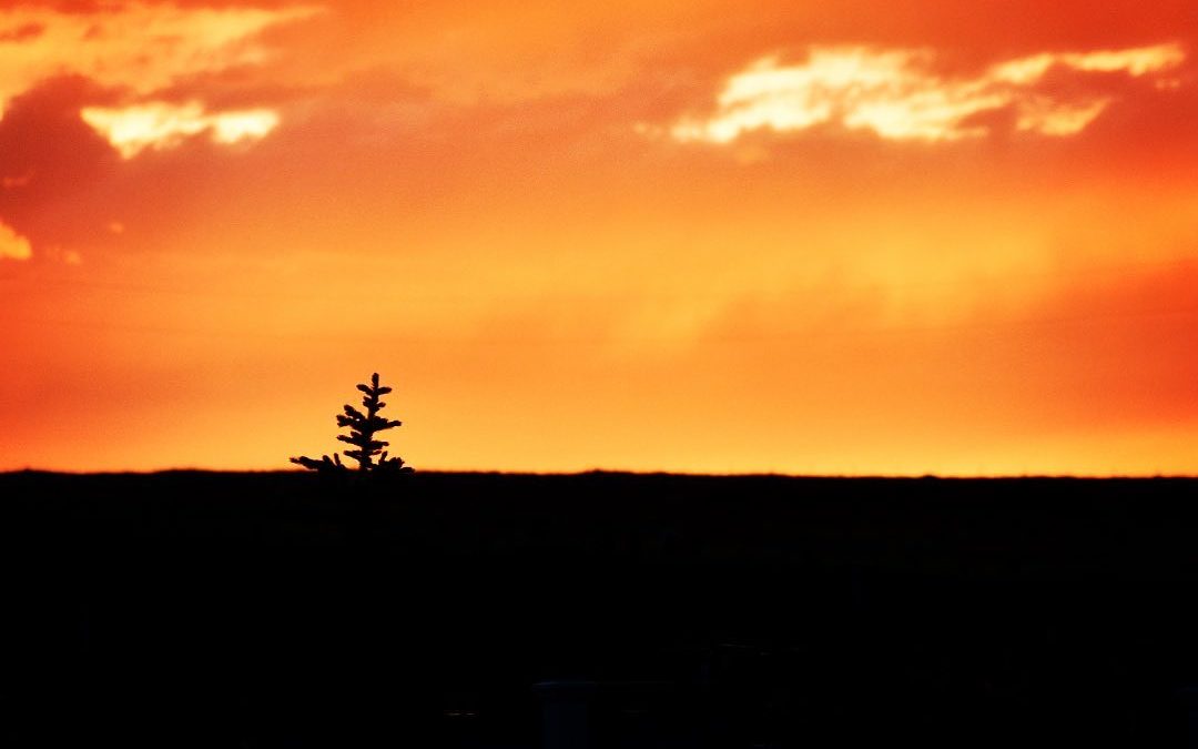 Montana sunset. #montanasunset #montana #landscapephotography #landscapephotogra…