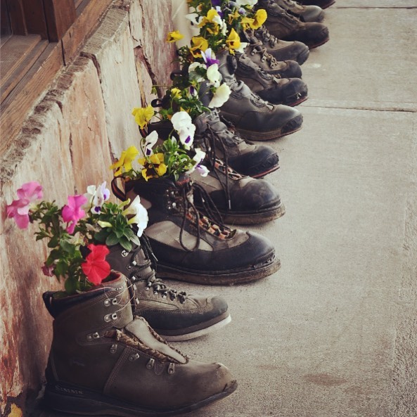 Perfect use for old hiking boots  outside a boot shop in West Yellowstone. #oldb…