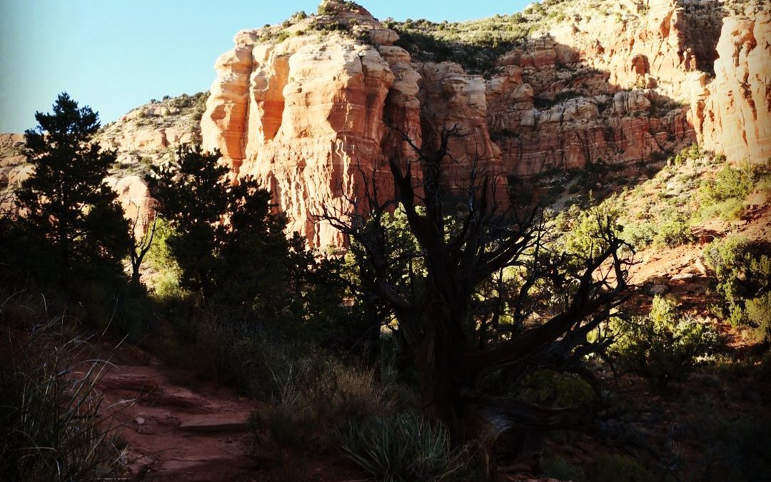 When we lived in Orange County California, we belonged to the OC Hiking Club. We…