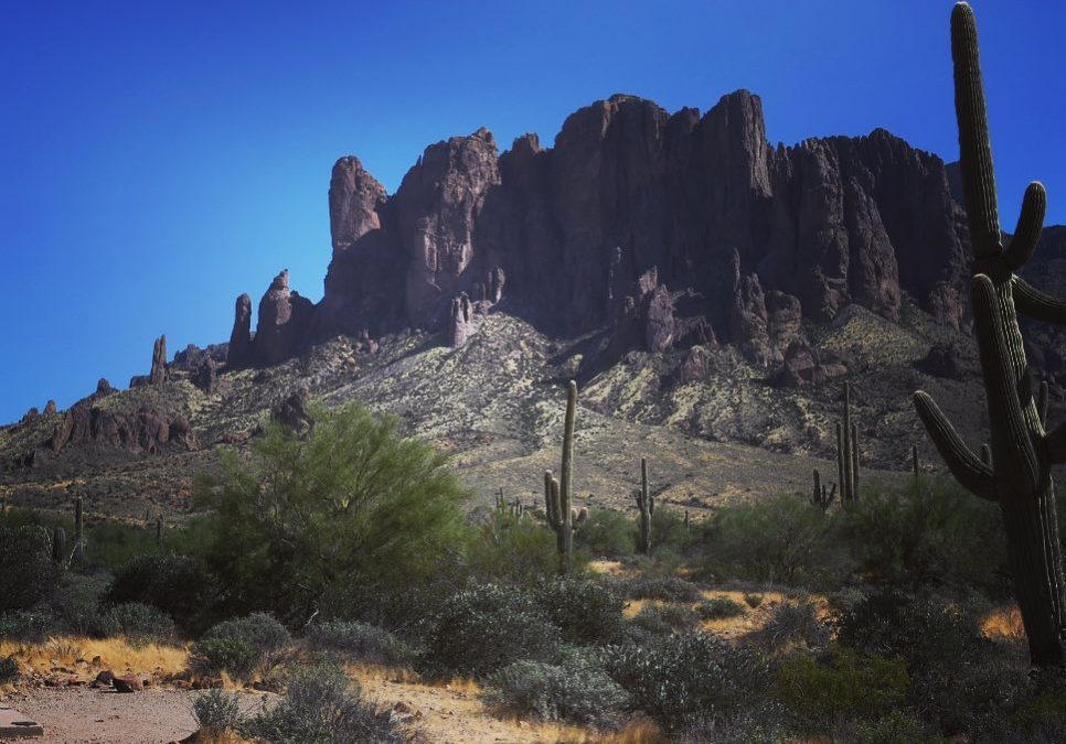 It was a hit the trail kind of Tuesday afternoon. So wonderful having hiking out…