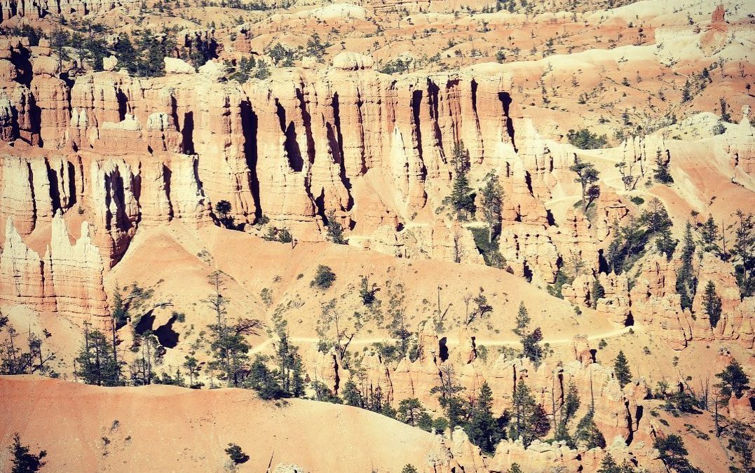 Had this song stuck in my head the entire hike down into Bryce Canyon…
“When I…