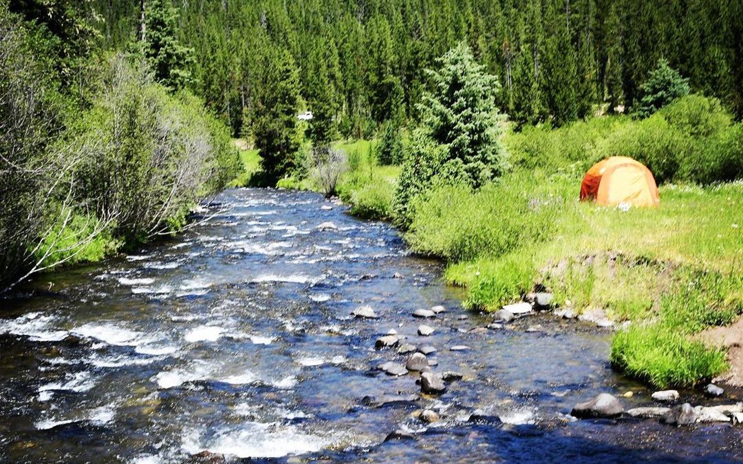 Nice and cool down by the river. #downbytheriver #montana #camping #tentcamping …
