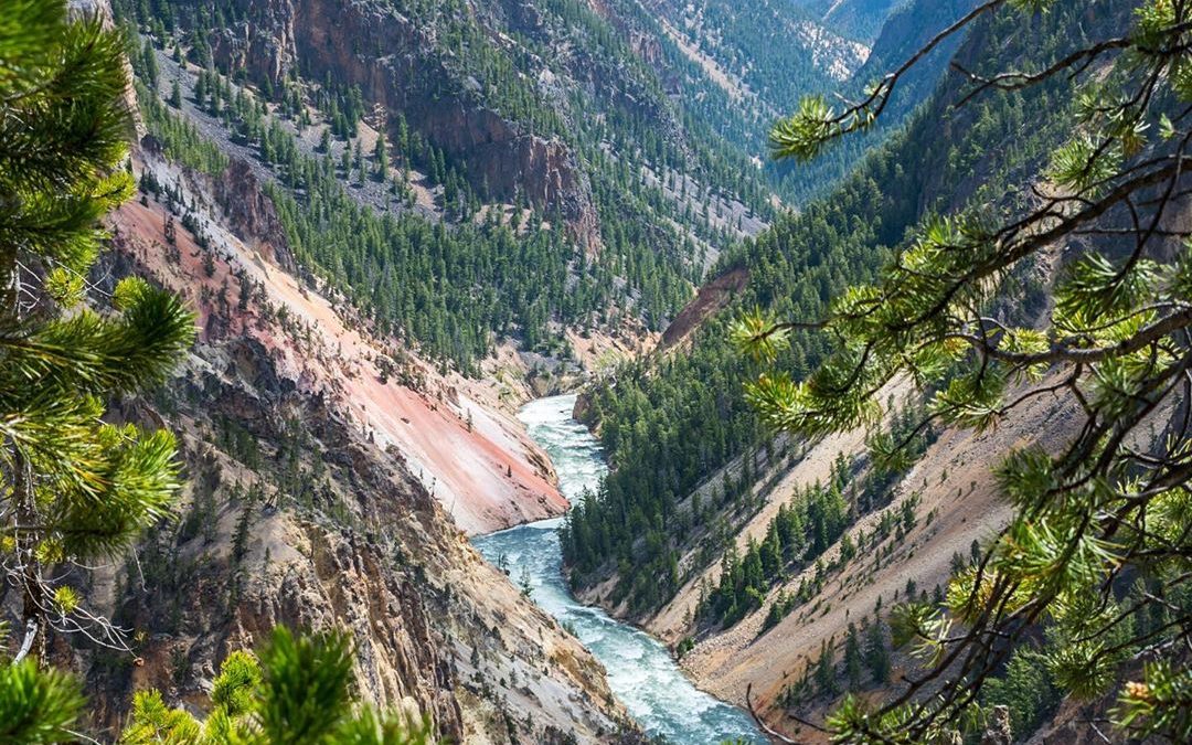 Great day in Yellowstone hiking both the south and north rims of the Grand Canyo…