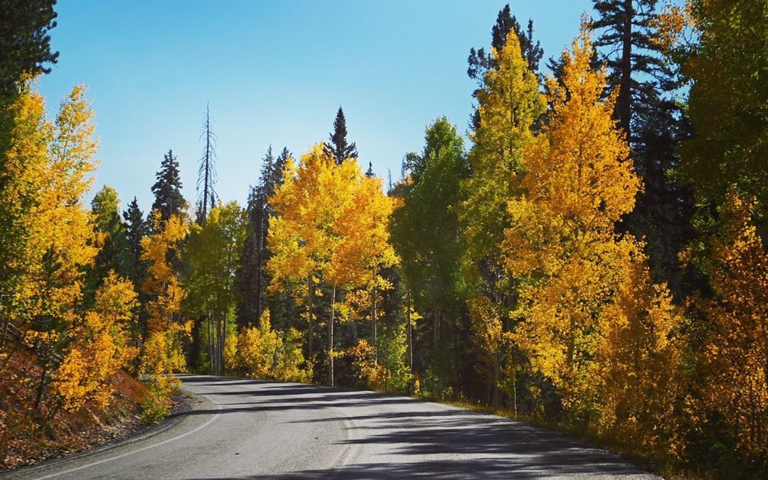 Great thing about traveling south this time of year, we have been able to watch …