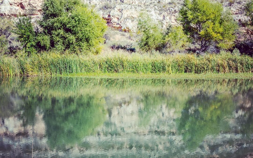 Some days, it is all about the new, the adventure, the highlight of an area.  An…