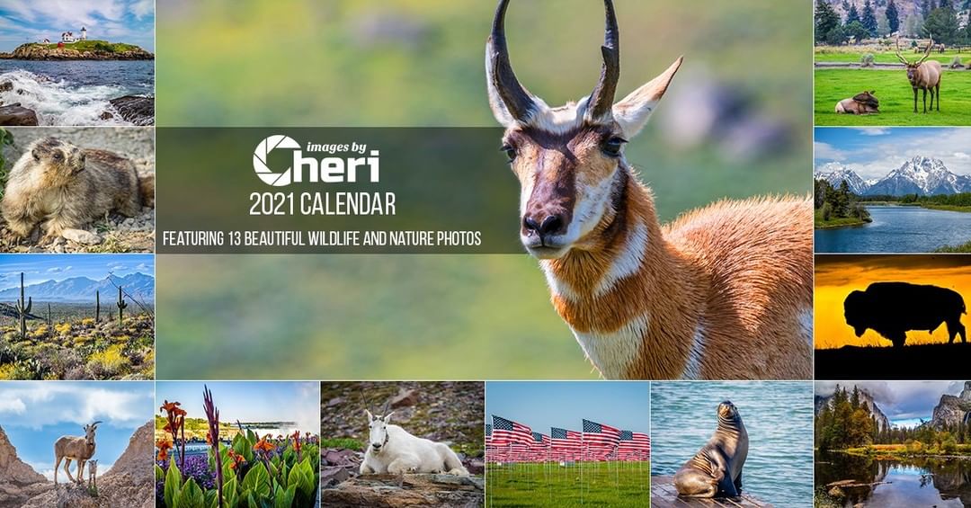 You still have time! Don’t miss out on your 2021 Images by Cheri calendar. It’s …