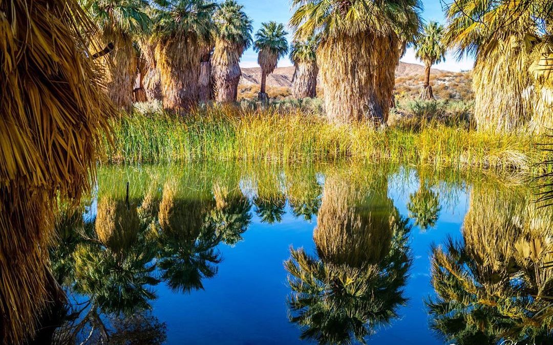 Sometimes a Thursday feels like a Monday. #joysoftravel #travelphotography #palm…