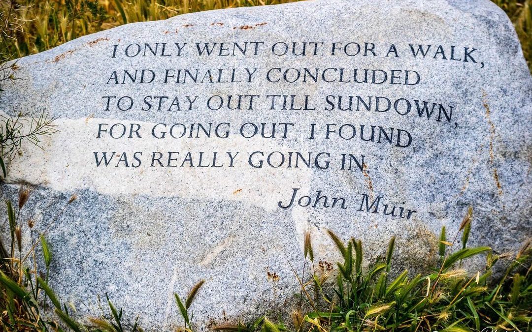 What the rock said. #johnmuir #getoutside #imagesbycheri #hellofreedom #photogra…