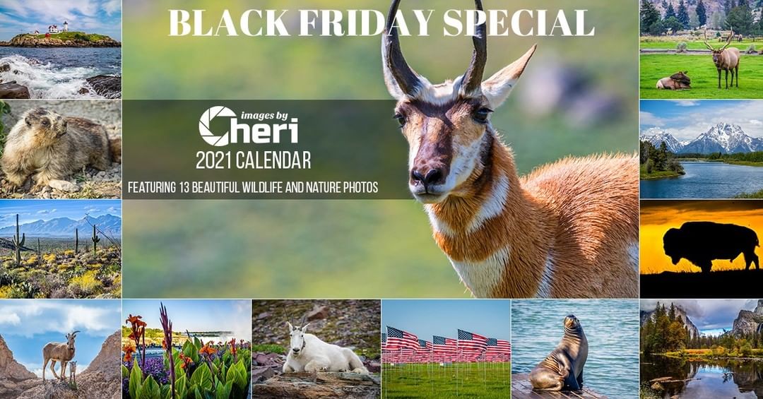 ** BLACK FRIDAY SPECIAL PRICE $12.97 **

From wildlife nature photographer and A…
