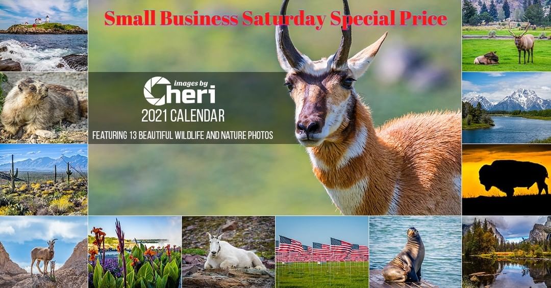 ** SMALL BUSINESS SATURDAY $12.97 **

From wildlife nature photographer and Amaz…
