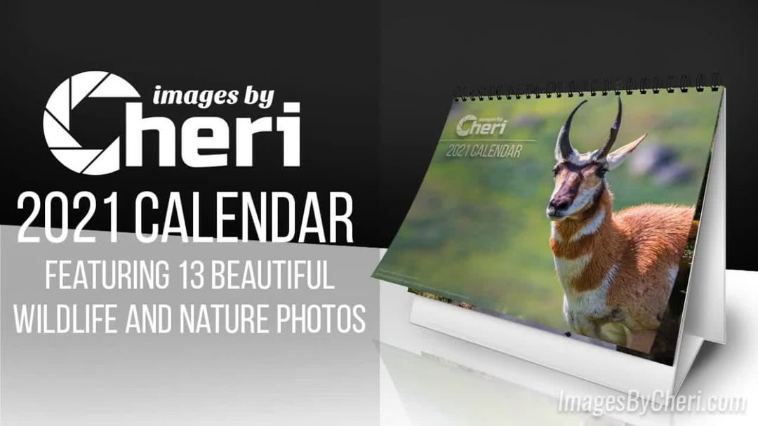 2021Calendar.ImagesByCheri.com

Limited quantity available – get your Images by …