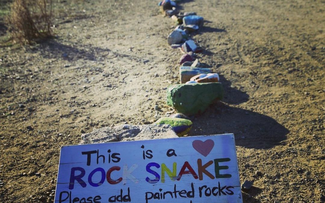 Rock Snake. I had read about this in my All Trails App, but had no idea how long…