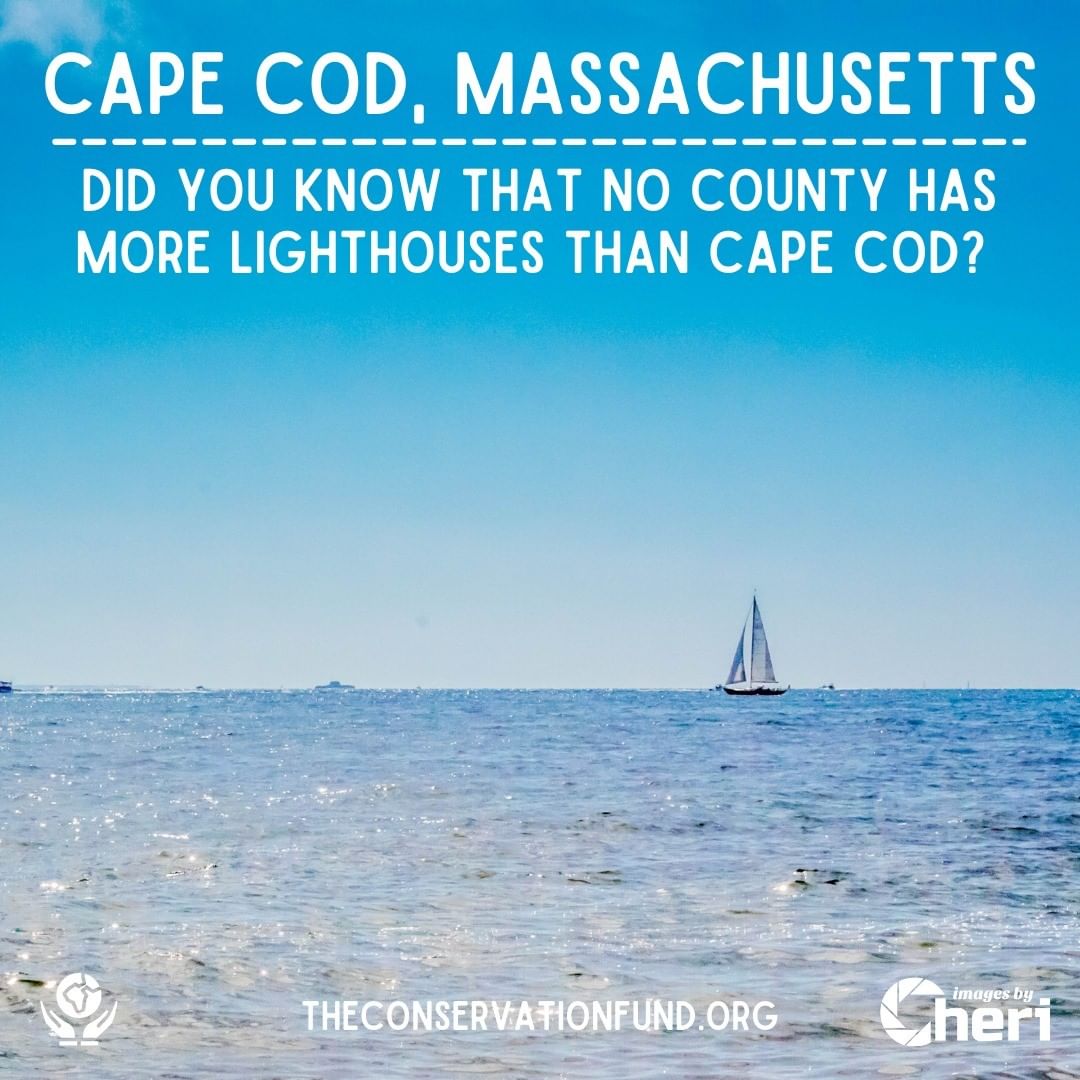 Cape Cod, a hook-shaped peninsula of the U.S. state of Massachusetts, is a popul…