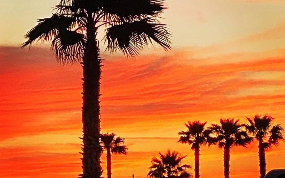 Just another Arizona Sunset. #arizonasunset #sunset #palmtrees #imagesbycheri #h…