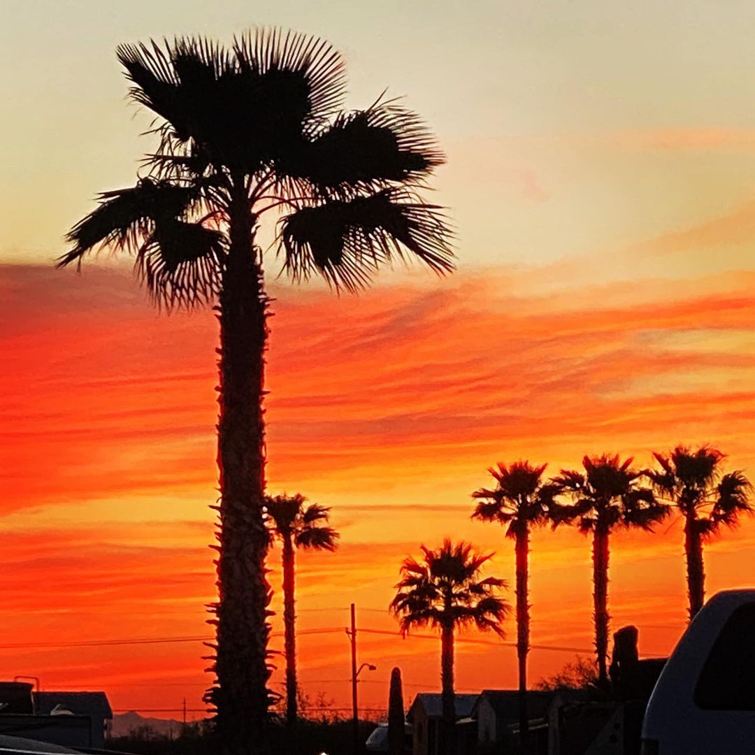 Just another Arizona Sunset. #arizonasunset #sunset #palmtrees #imagesbycheri #h…