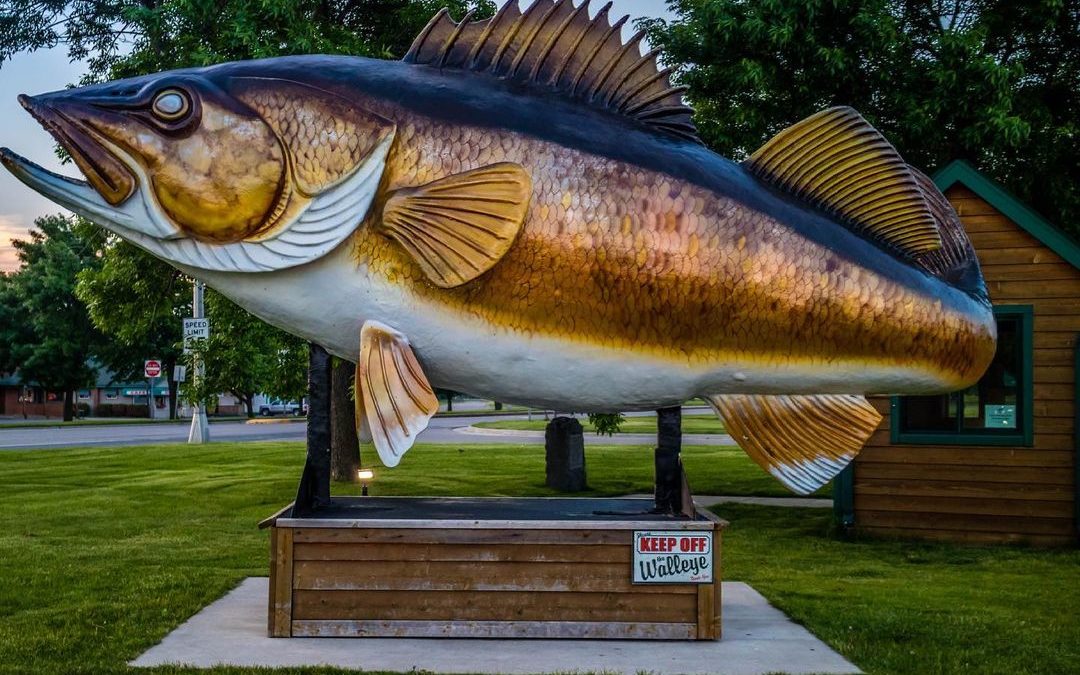 Only been in Minnesota 4 days, yet I have had walleye twice already. I never app…