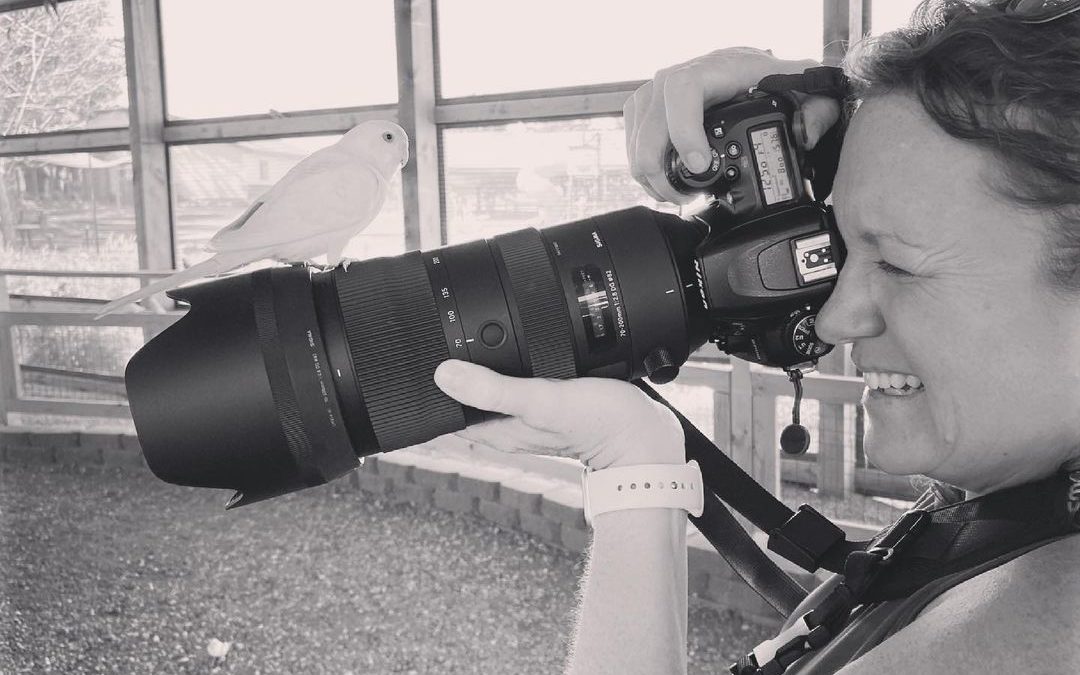 My new assistant. 

.
.
#photographer #photography #birdphotography #imagesbyche…