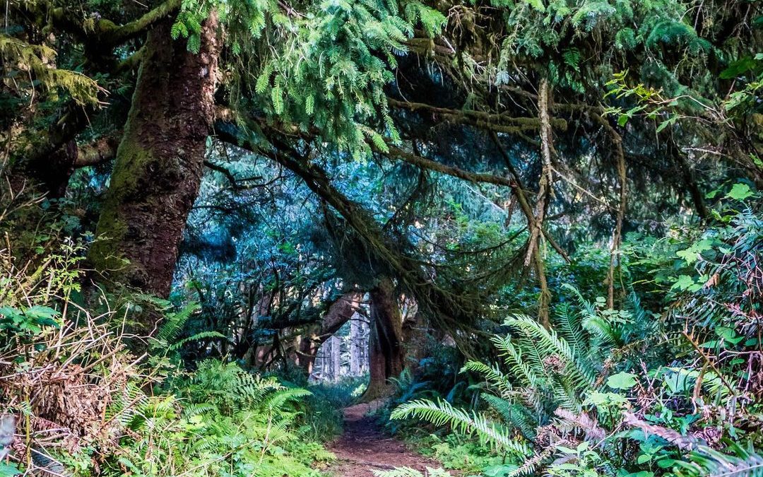 Cool overcast day in the PNW. Exactly what you think about when you think of Was…