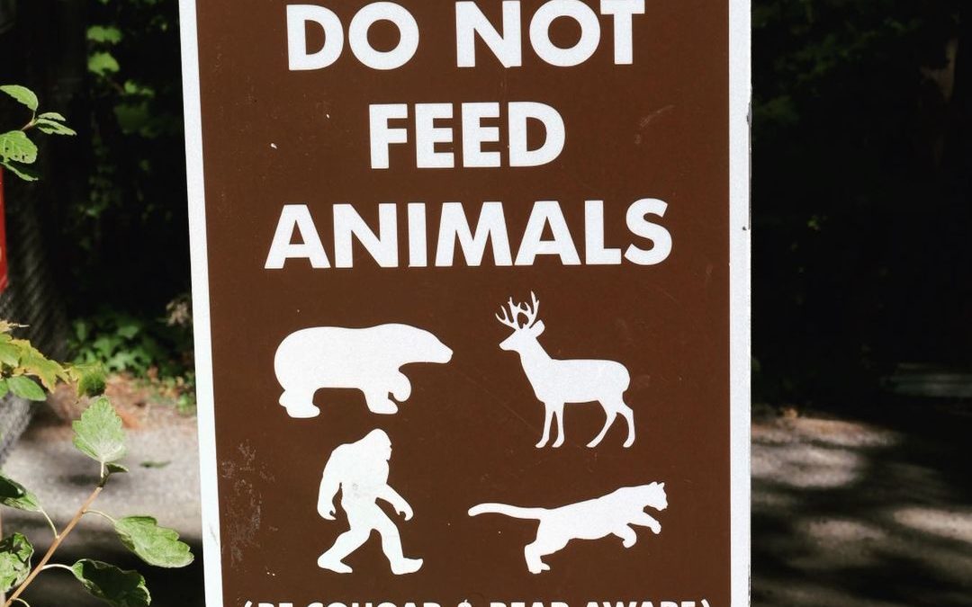 A little humor for the first day back at it after a three day weekend. #bigfoot…