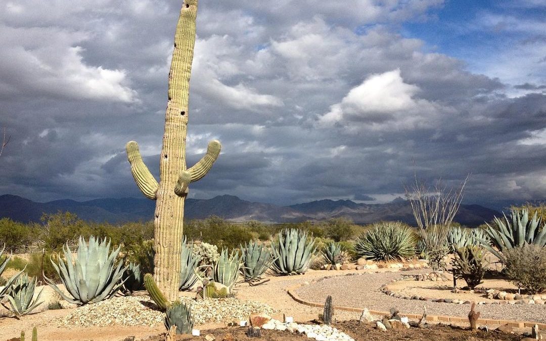 Seven and a half years ago, I took this photo near where we are now. We attended…