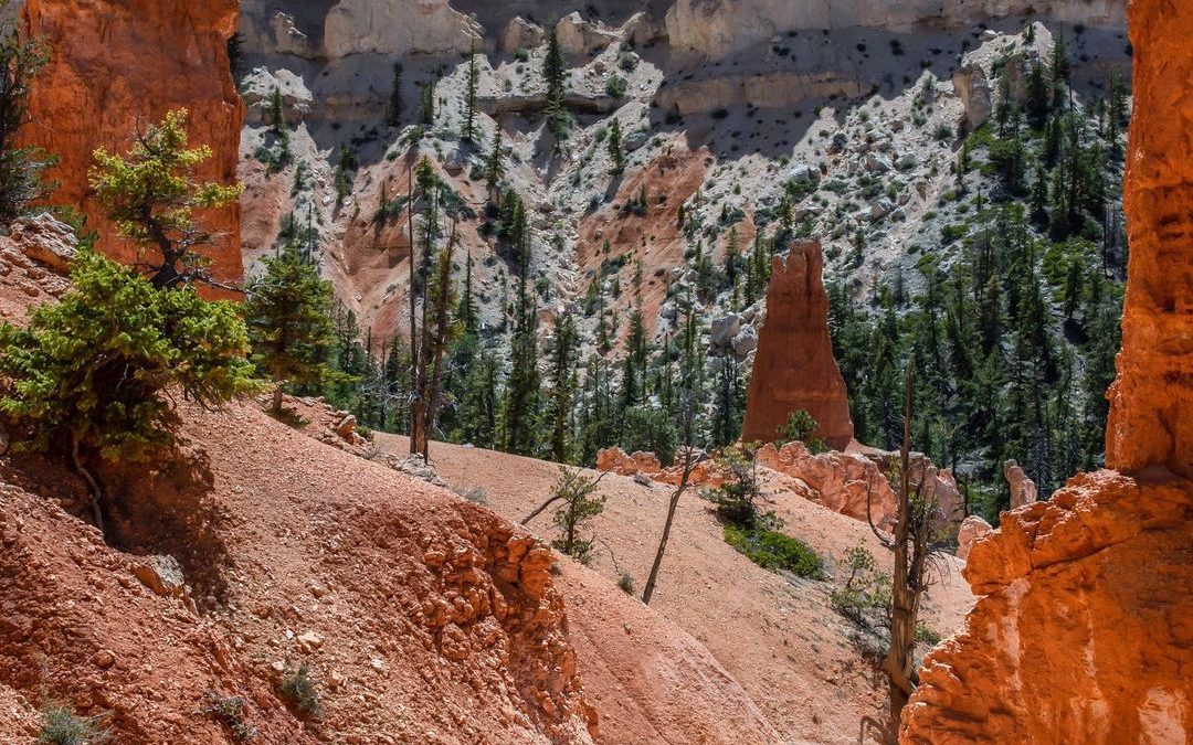 Happy National Hiking Day! Where did you hike today? This is one of my favs I ha…