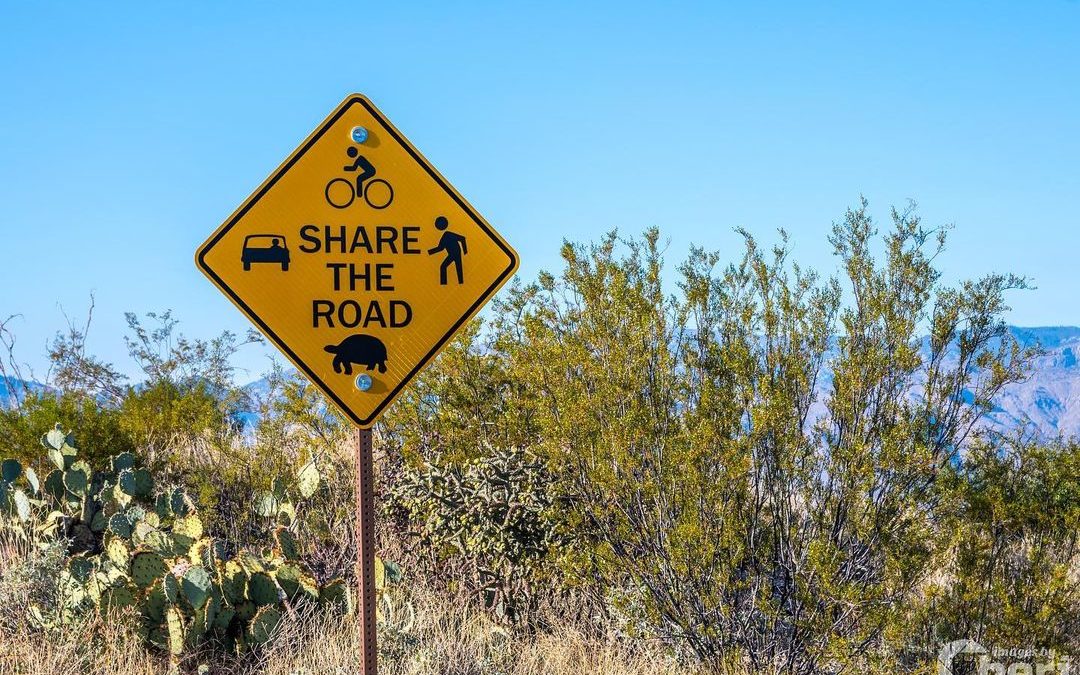 Share the road…gladly share the road with desert tortoises! #desertlife #desertt…