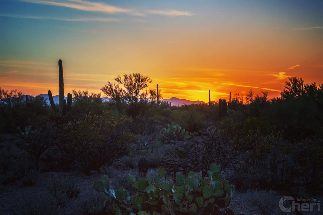 Another perfect sunset. #arizonasunset #sunsetinthedesert #imagesbycheri #hellof…