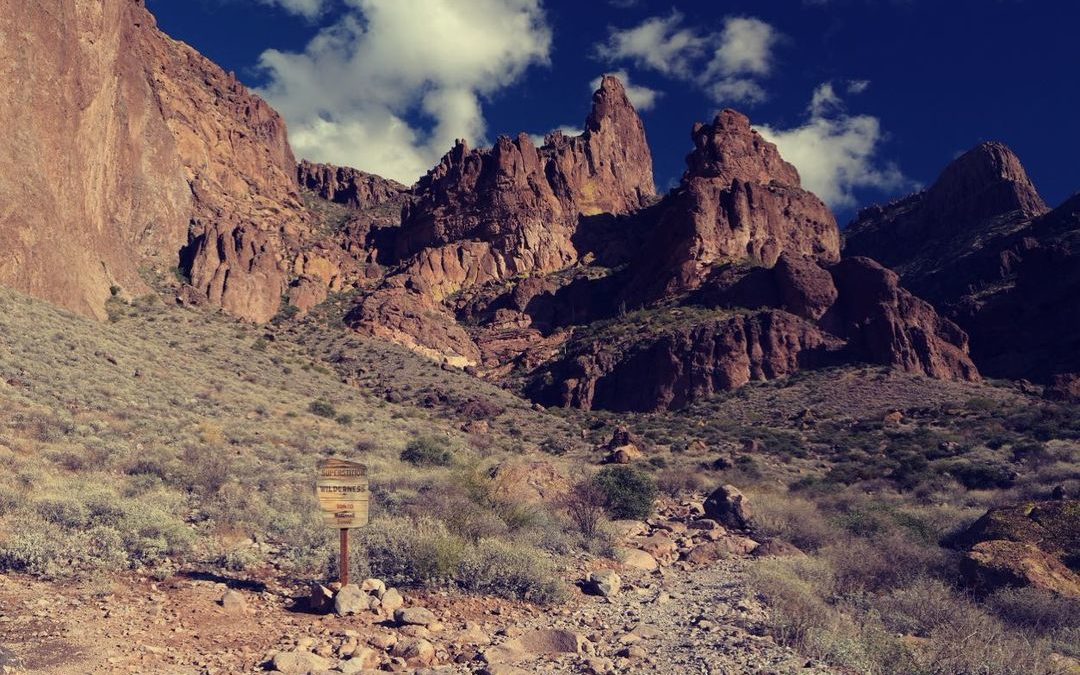Had to hike Flat Iron on our 3rd hike in Lost Dutchman this week. We had another…