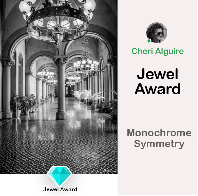 ViewBug.com: Jewel Award in ‘Monochrome Symmetry’ Contest