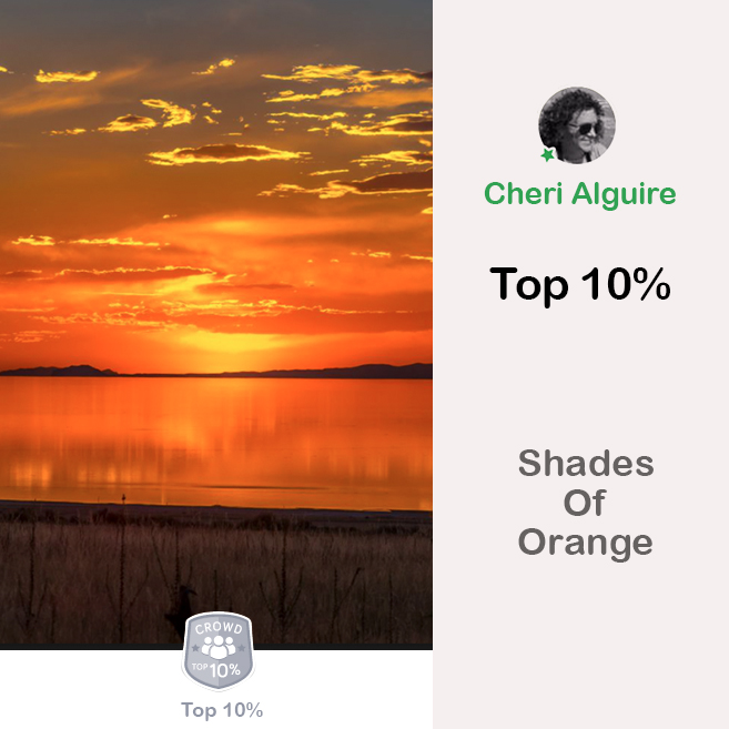 ViewBug.com: Ranked Top 10% in ‘Shades Of Orange’ Contest