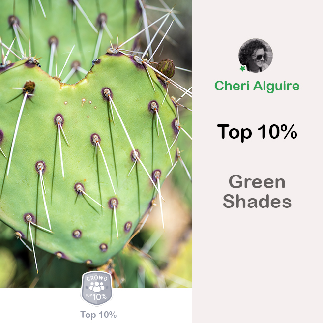 ViewBug.com: Ranked Top 10% in ‘Green Shades’ Contest