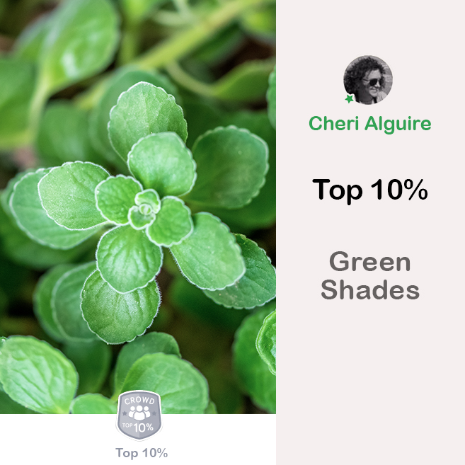 ViewBug.com: Ranked Top 10% in ‘Green Shades’ Contest