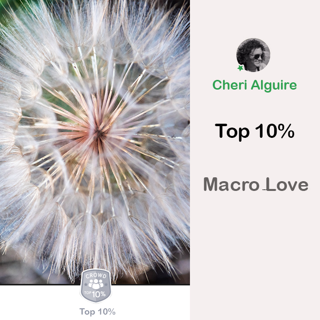 ViewBug.com: Ranked Top 10% in ‘Macro Love’ Contest
