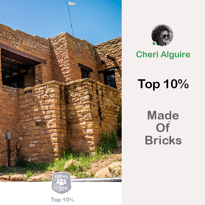 ViewBug.com: Ranked Top 10% in ‘Made Of Bricks’ Contest