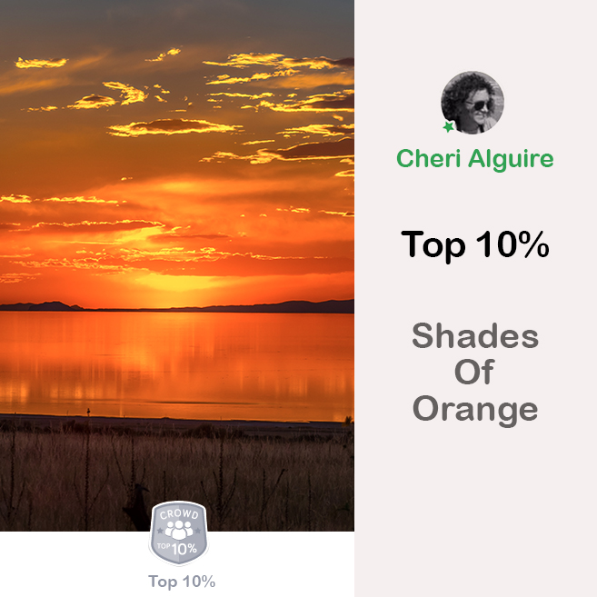 ViewBug.com: Ranked Top 10% in ‘Shades of Orange’ Contest