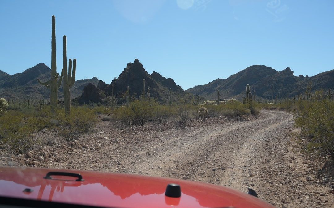 Puerto Blanco Drive (41 miles) brought us to a couple short hikes and pretty clo…