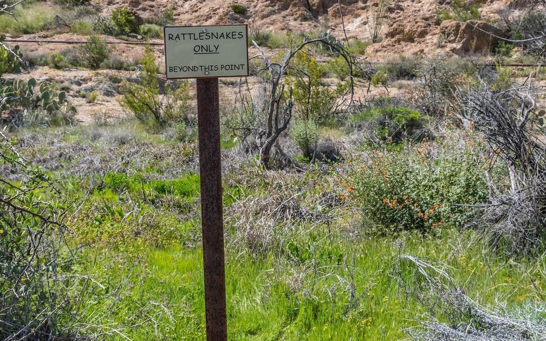 Rattlesnakes only beyond this point! Be careful out there, fellow hikers, as the…