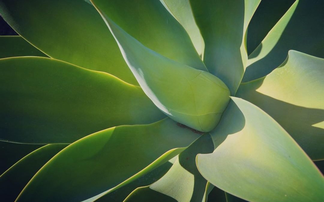 I started selling my photos as a stock photographer. I knew I would make way too…