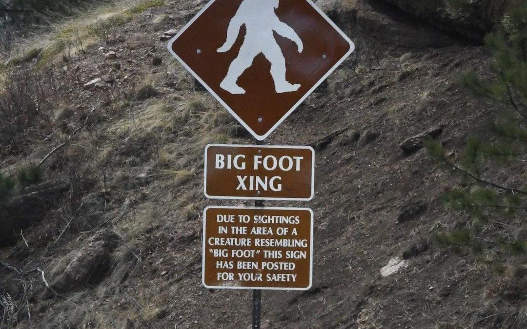 Big Foot Xing! Luckily, this sign was posted for my safety.  #bigfoot #bigfootsi…