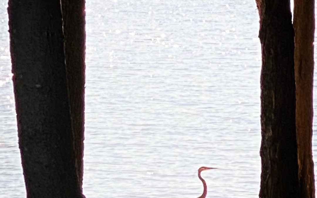 Crowds in Nashville were crazy. Came back to camp and this Hope you are having a…